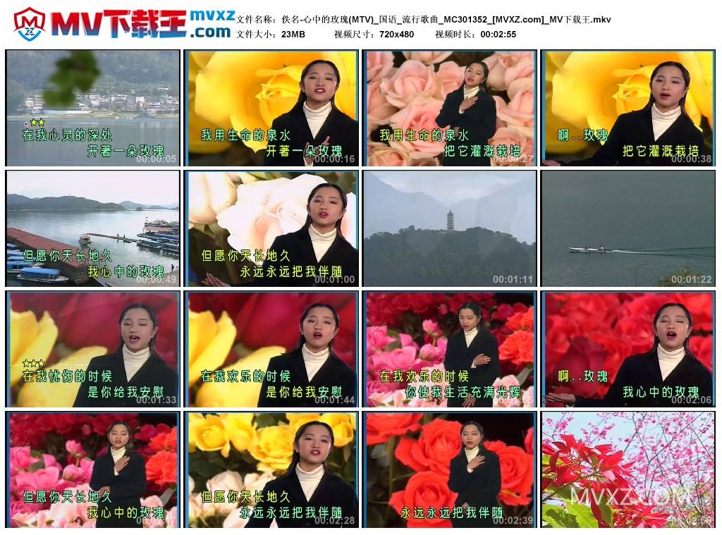 佚名-心中的玫瑰(MTV)_国语_流行歌曲_MC301352